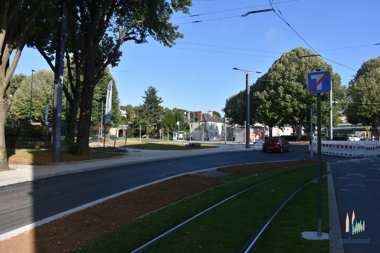 2025-07-26 031.JPG