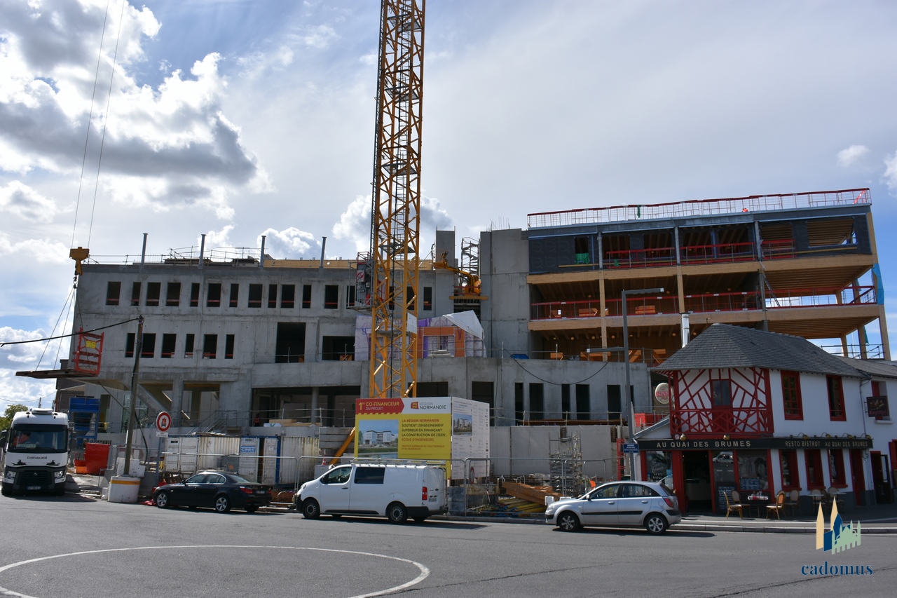 2025-09-09 002.JPG