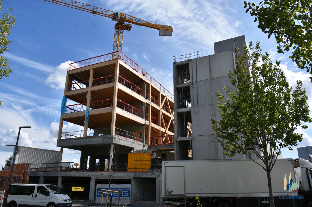2025-09-09 001.JPG