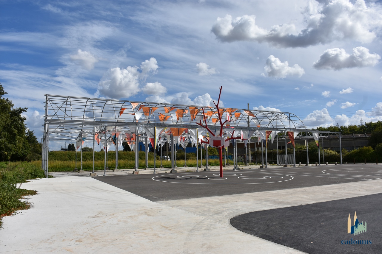 2025-09-09 019.JPG