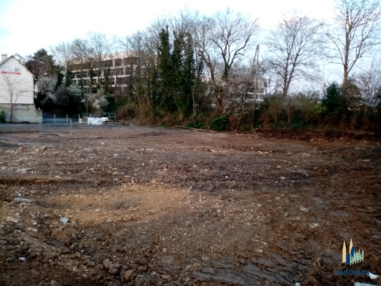 2026-03-02 001.jpg