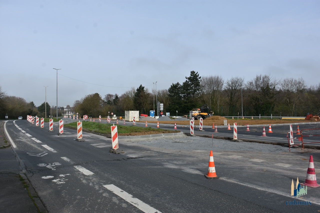 2026-03-07 005.JPG