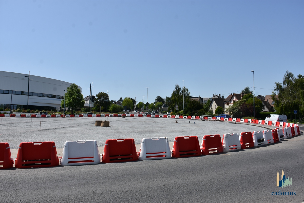 2026-05-25 005.JPG