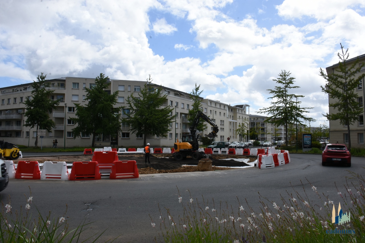 2026-06-04 002.JPG