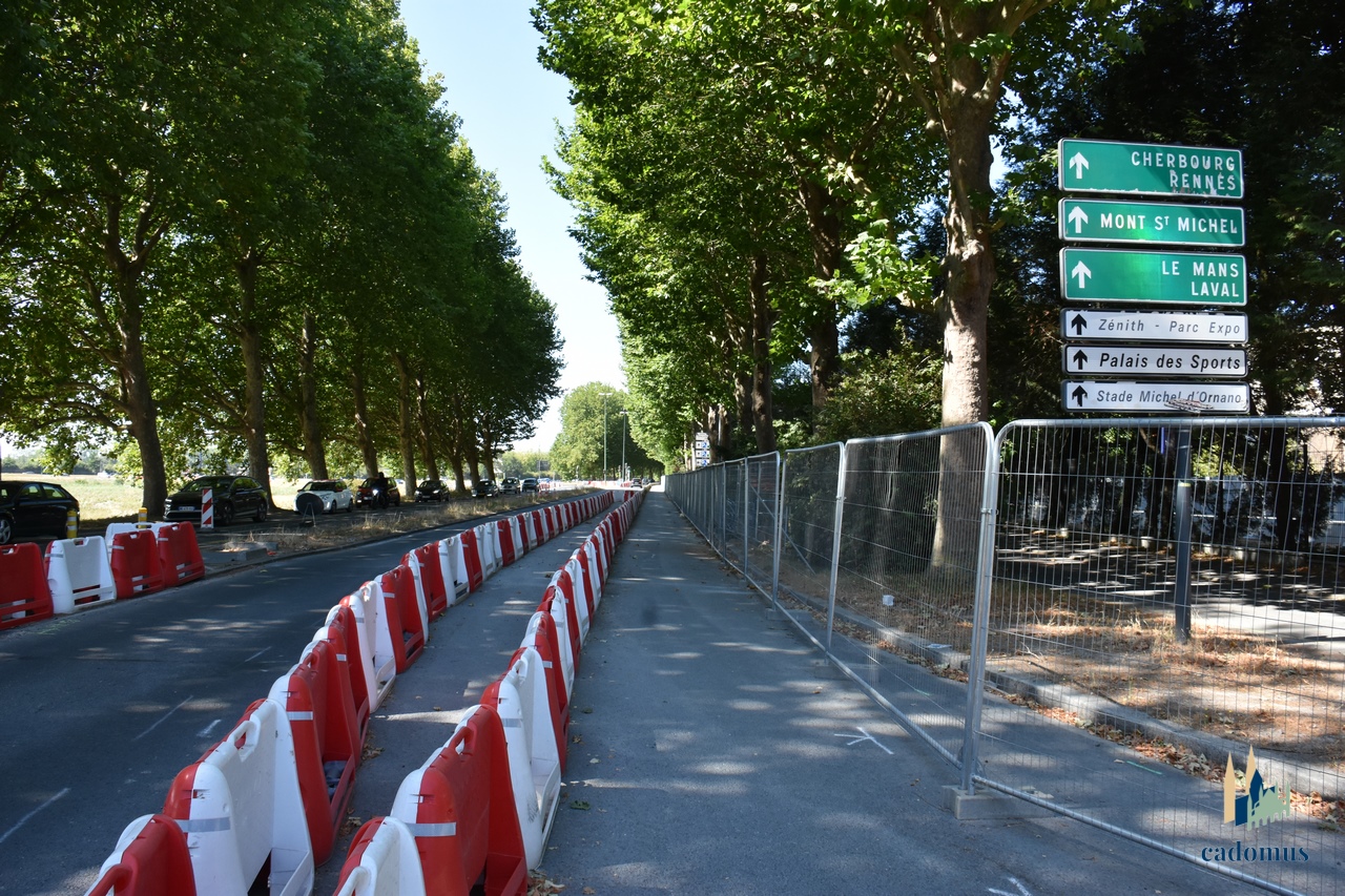 2026-08-01 012.JPG