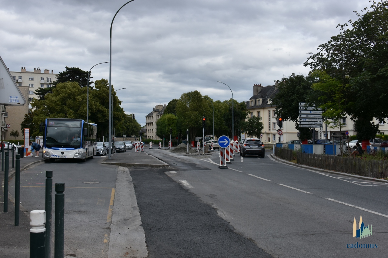 2024-07-08 023.JPG