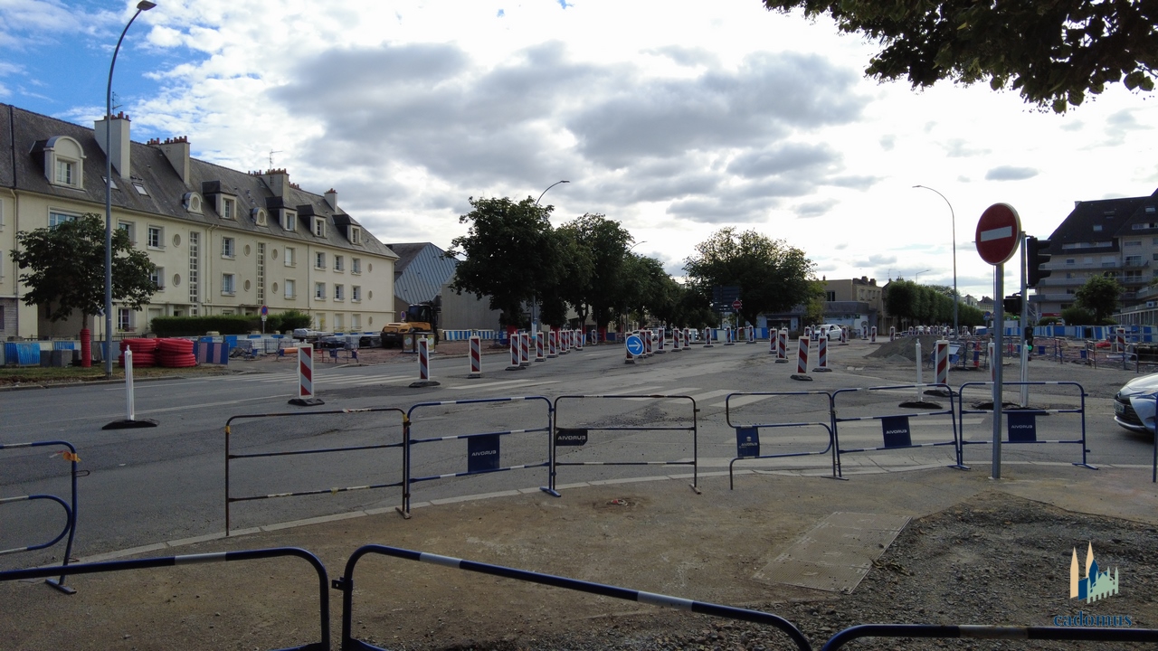 2024-07-21 005.JPG