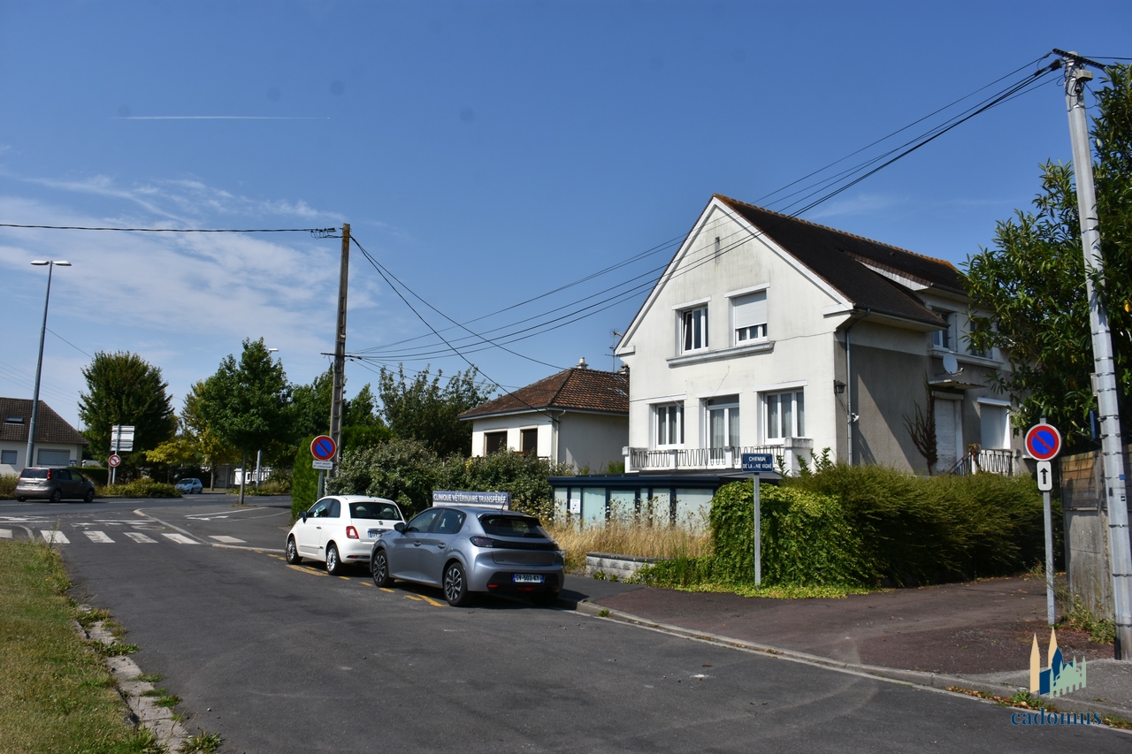 2024-08-12 001.JPG