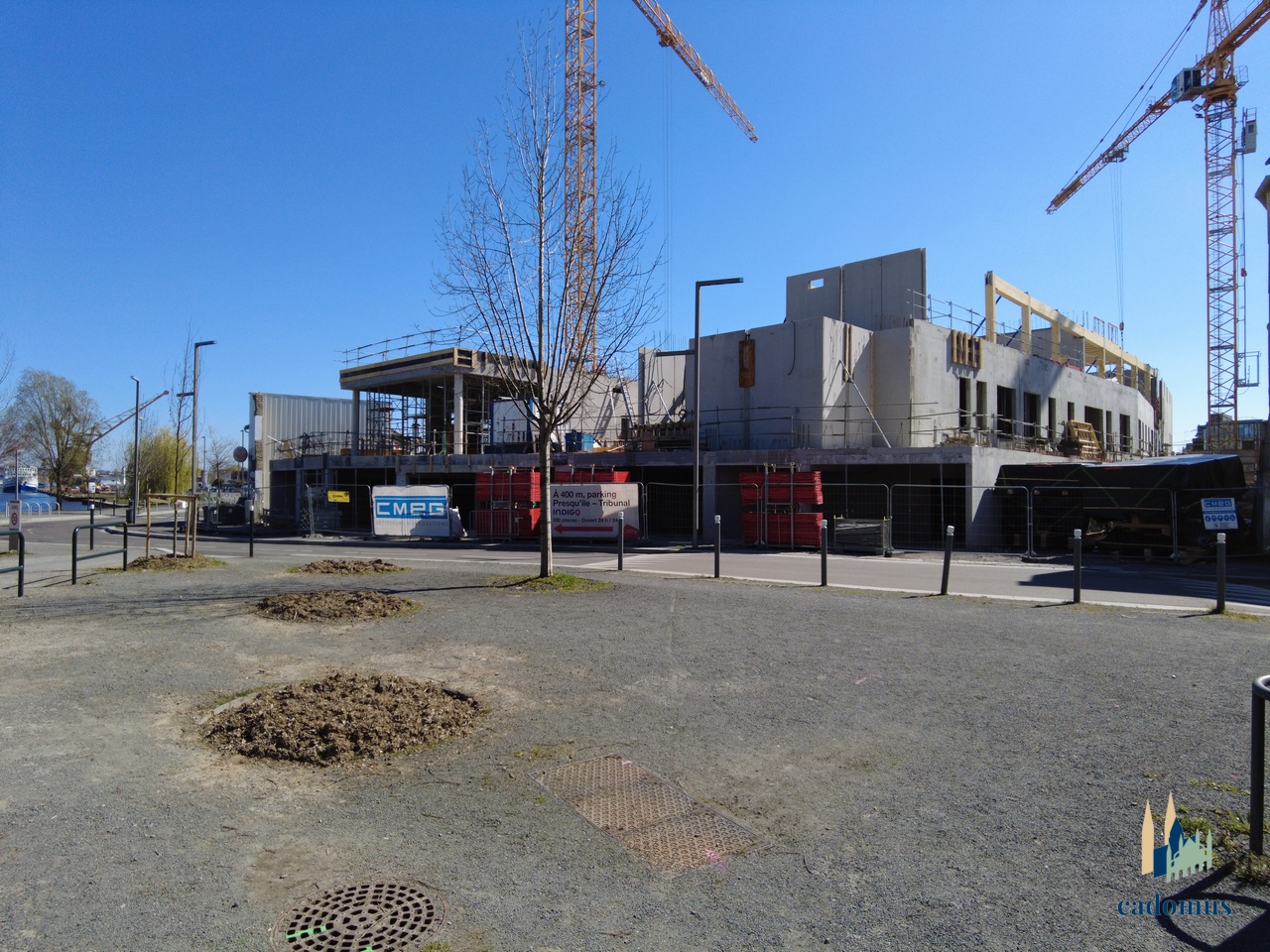 2025-04-01 001.JPG