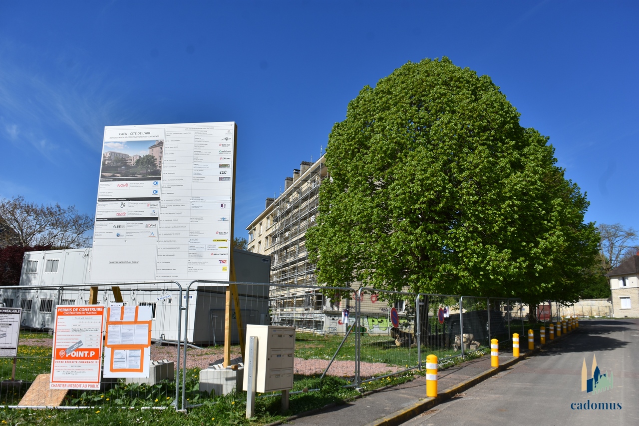2025-04-19 003.JPG
